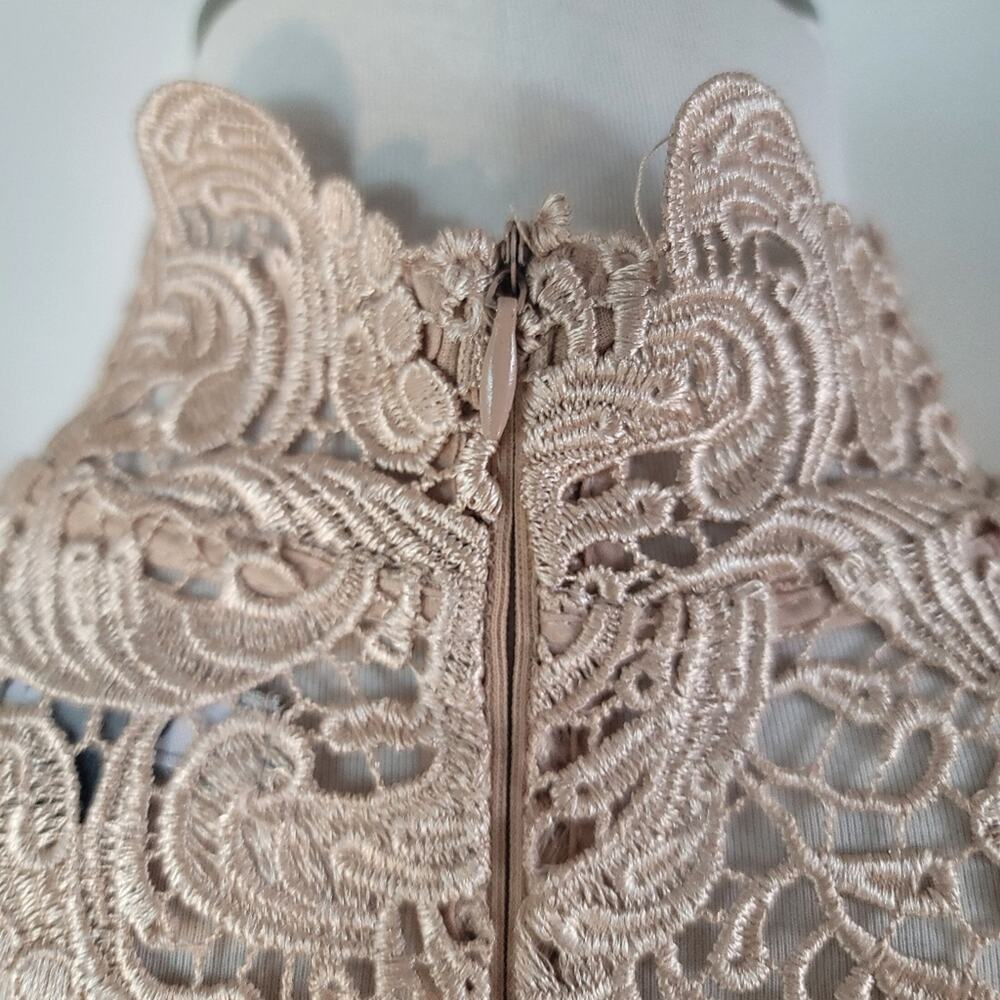 NWOT GRACIA Champagne Floral Lace Cocktail Sheath Dress Wedding Guest Elegant - Picture 13 of 16
